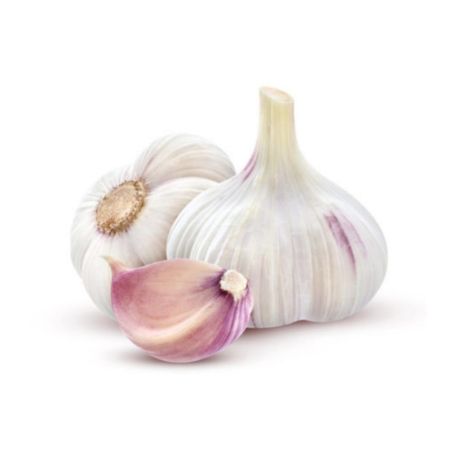 Garlic/వెల్లుల్లి