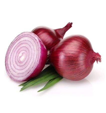 onion/ఉల్లిపాయ